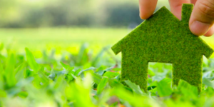 Magíster en Medio Ambiente